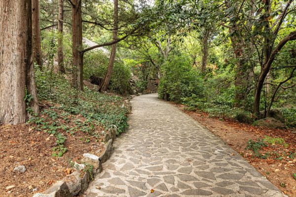 Stone Walkway Repair in Independence
