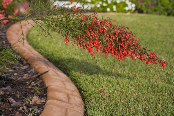 Brick Edging
