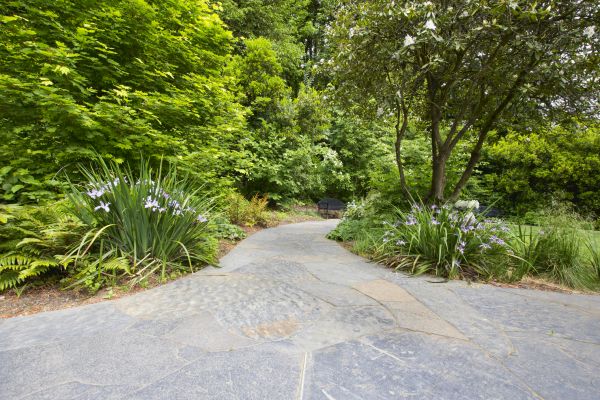 Stone Hardscape Service in Independence