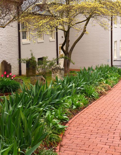 Brick Flatwork Repair in Independence